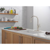 Delta 19867LF-SS Nicoli 11.06-in x 10.75-in x 17.06-in Single-Handle Pull-Down Kitchen Faucet, Stainless