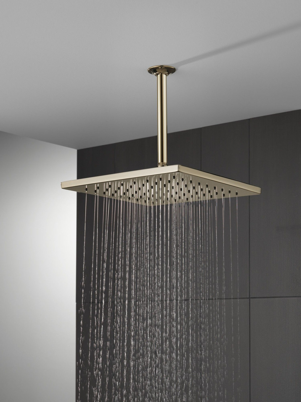 Delta 52159-PN-PR Universal Showering Components Single-Setting Metal Raincan Shower Head, Lumicoat Polished Nickel