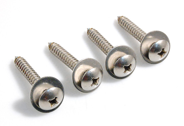 Pan Head Screws and Washers (4 Piece each) for Toto Faucets