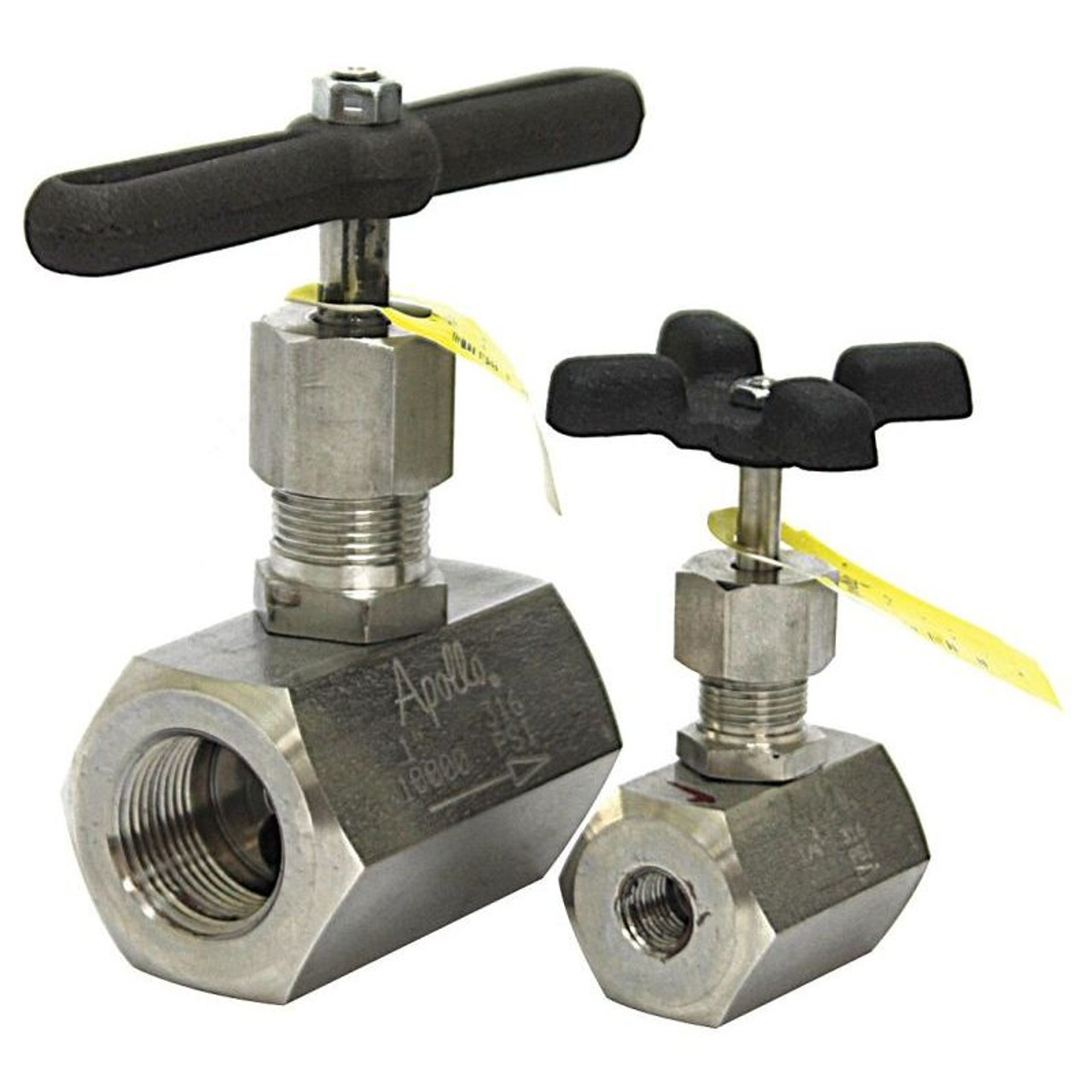 Globe Valve, FNPT, 316 SS, 1/2-in
