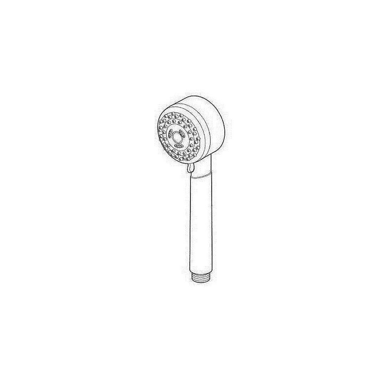 Hand Shower in Brilliance Brushed Nickel