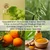 Vitamin C Face & Body Oil Ingredients
