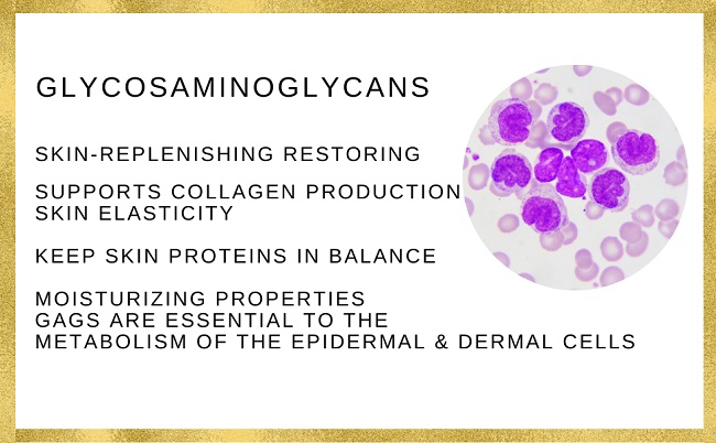 Why does our skin improve when using Glycosaminoglycans?