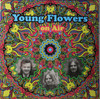 Young Flowers - On Air live 1969 & 1970 2  lp reissue 