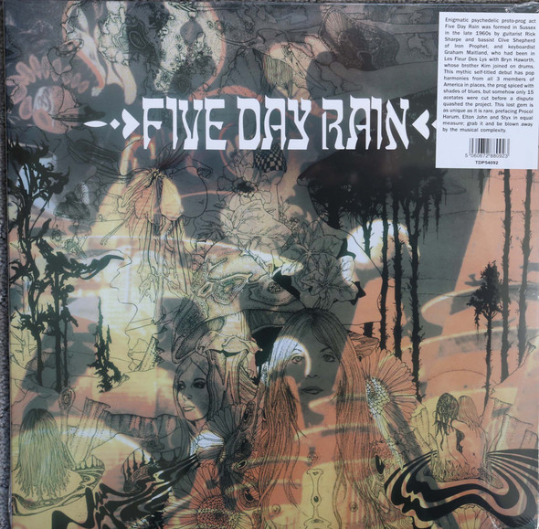 Five Day Rain - same  lp reissue 