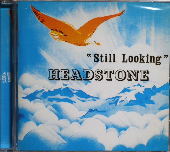 Headstone - Still Looking