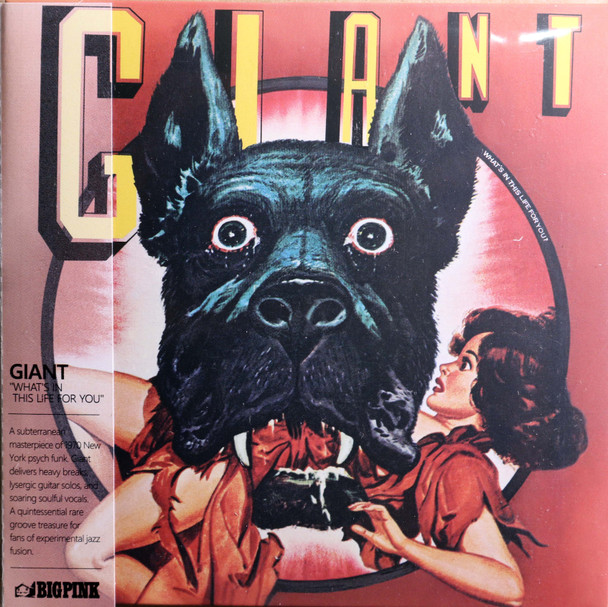 Giant - What's In This Life for You mini lp