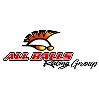 1price-list-all-balls-logo-2024.jpg