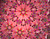 Kaleidoscope Toy - 6" Fireworks Wand Kaleidoscope Toy in Pink