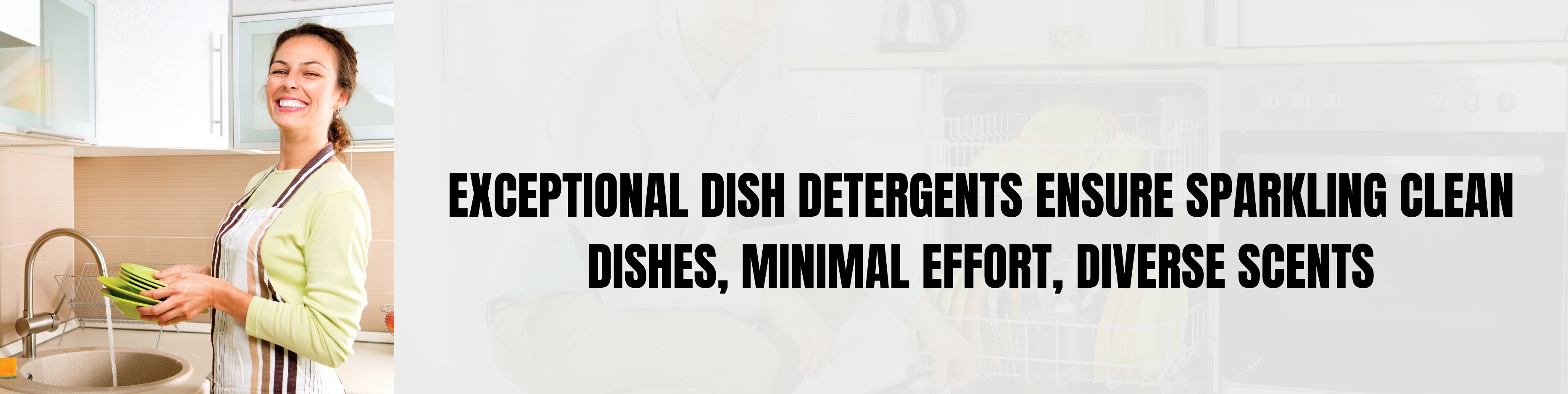 dishwashing-cleaners.jpg