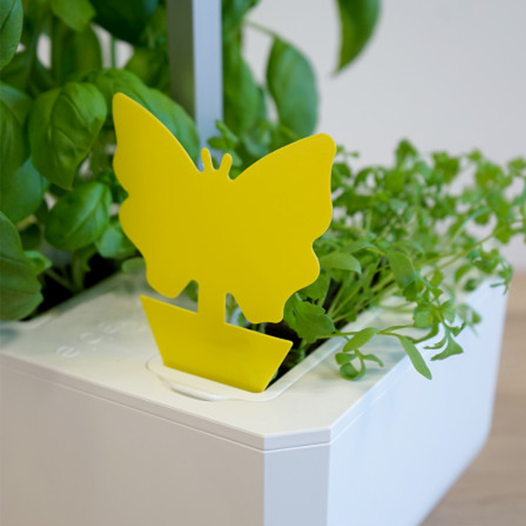 Veritable 8 Yellow Butterfly Sticky Traps Juicers.ie