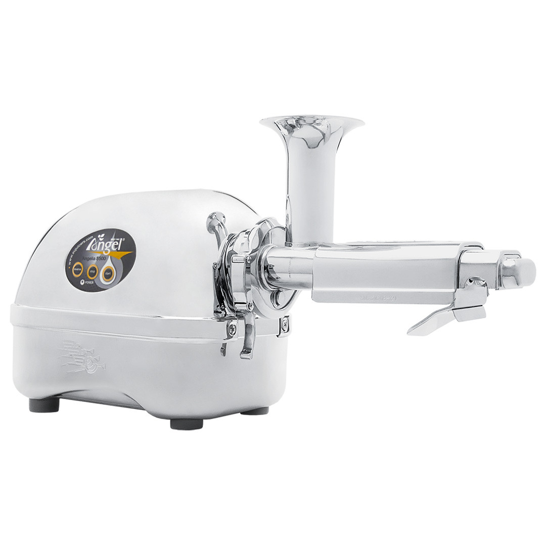 Angel 5500 Twin Gear Juicer in Stainless Steel Juicers.ie