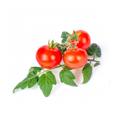 Veritable Red Cherry Tomato Lingots® (VLIN-L5-Tom016)