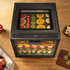 Excalibur 10 Tray Performance Digital Dehydrator in Stainless Steel (DH10SSSS33G)