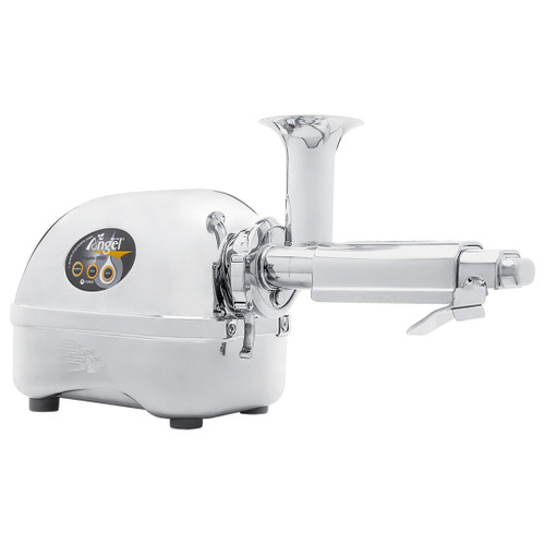 Angel 5500 Twin Gear Slow Juicer in Stainless Steel