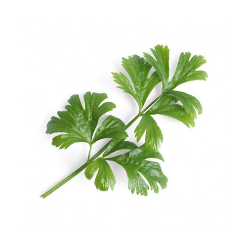 Veritable Celery Lingots®