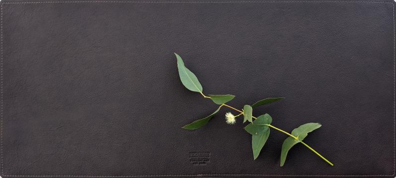 deskmat-ext-espresso-with-gumleaves.jpg