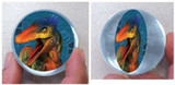 Jurassic Dinosaur Bounce Ball Favour - Pack of 6