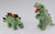 15cm Dinosaur Plush in 6 Assorted Designs