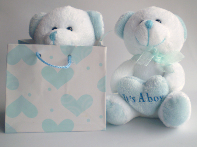 It's a Boy Plush Bear in Bag
