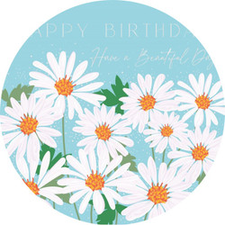 Belly Button Designs Ltd