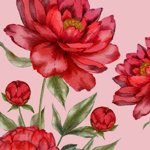 Peony