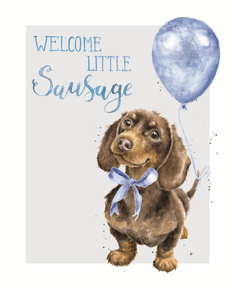 NB- Welcome Little Sausage Boy Dachshund