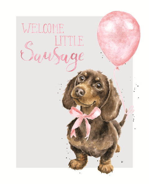 NB- Welcome Little Sausage Girl Dachshund 