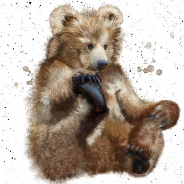 Field & Forest - Bear Cub