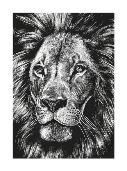Ink & Shadow- Lion (100 x 135mm)