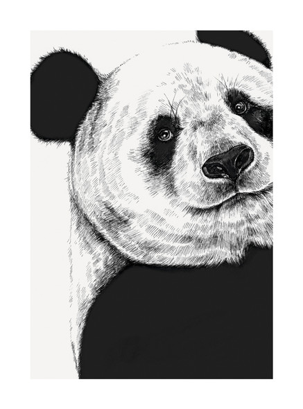 Ink & Shadow- Panda (100 x 135mm)