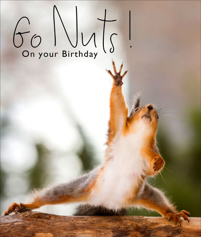 Animaltastic HB- Go Nuts