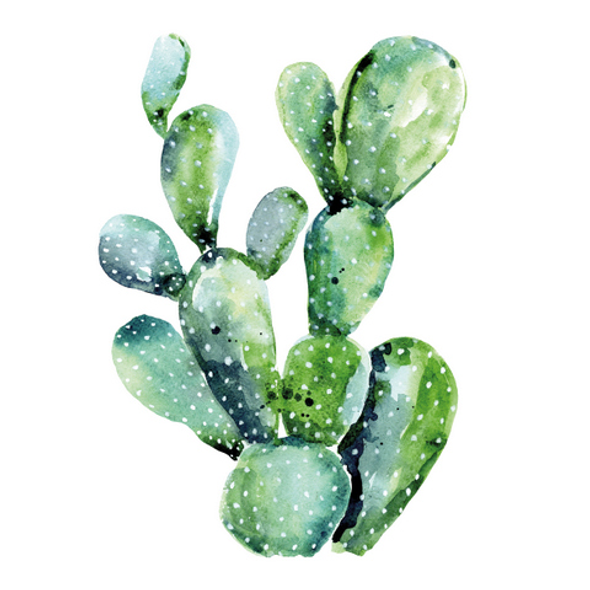 SALE - Cactus