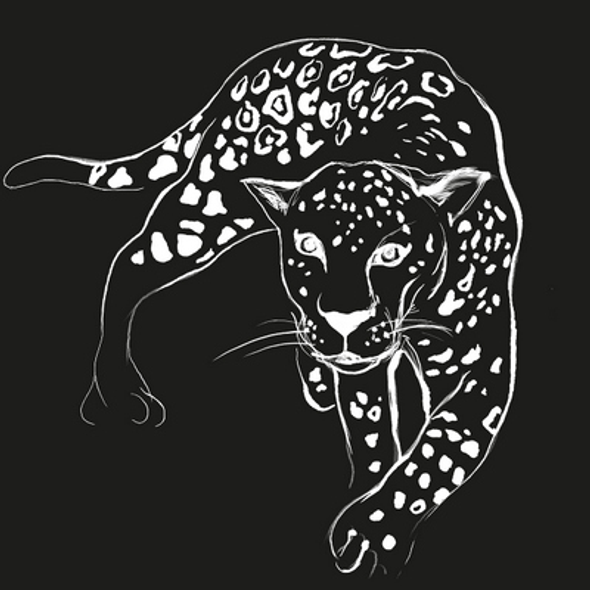 SALE - Leopard