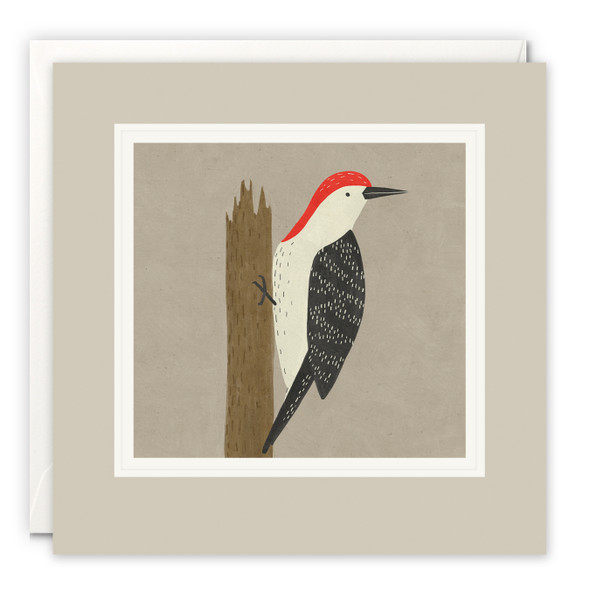 Paintworks - Woodpecker (unbagged)