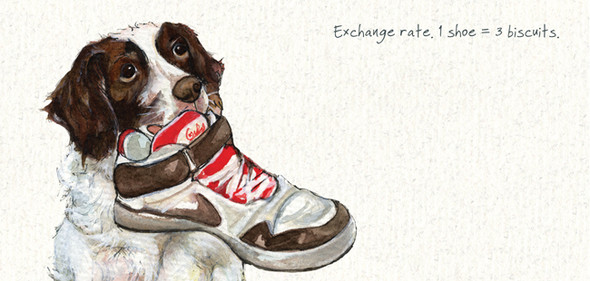 SALE- Exchange Rate