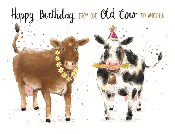 HB- One Old Cow To Another