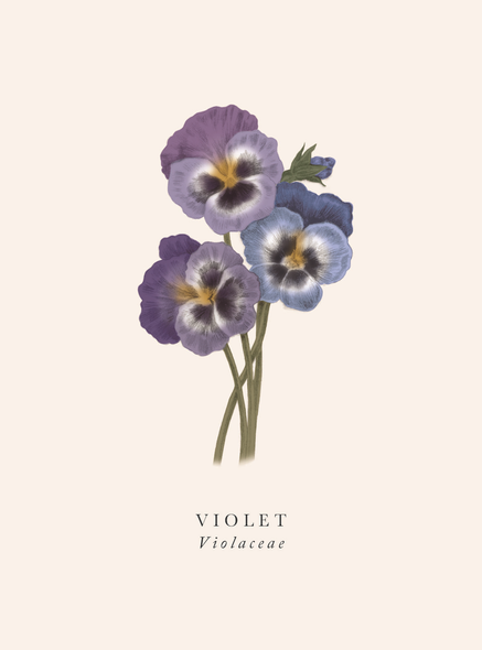 Violet