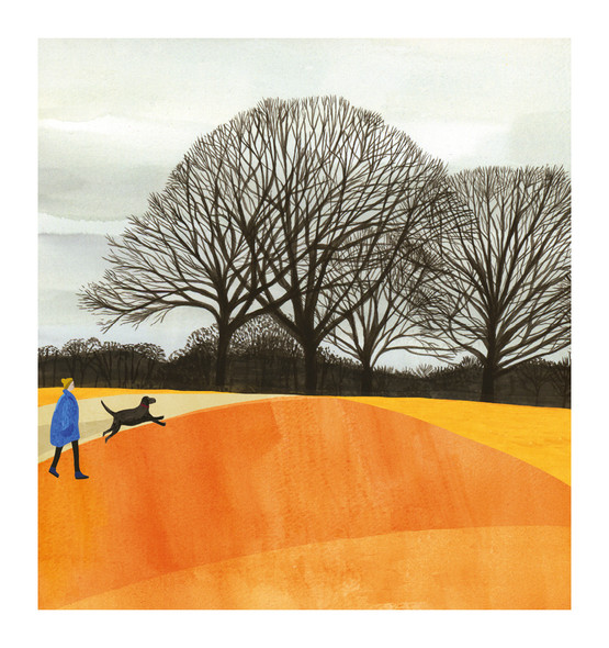 Richmond Park - Orange Fields 160x170mm