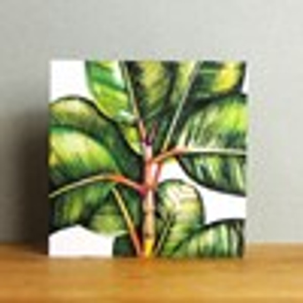 Ficus Benghalesis (Linen Board)