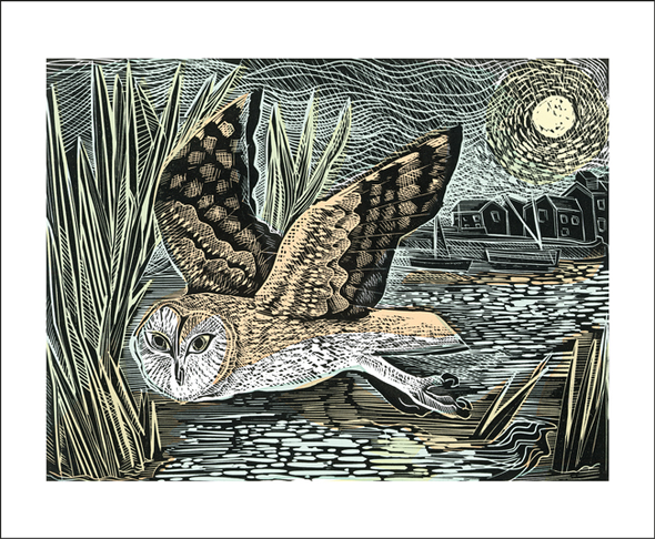 Angela Harding- Marsh Owl