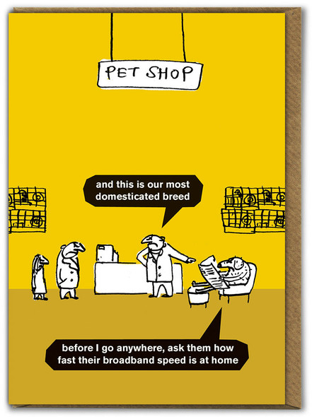SALE- Dogs Pet Shop
