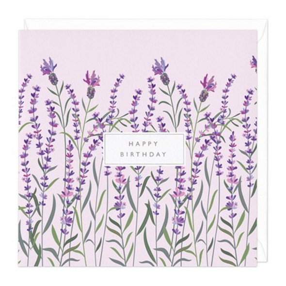 HB- Lavender (unbagged)