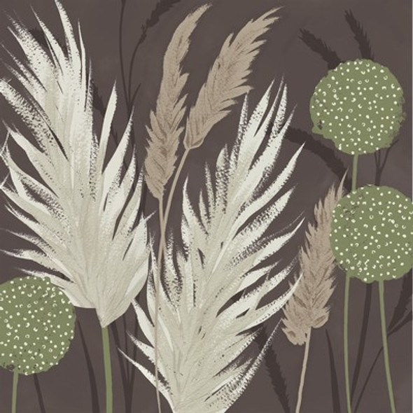 SALE - Ferns