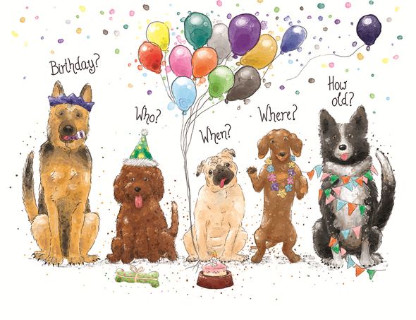 HB- Birthday Dogs