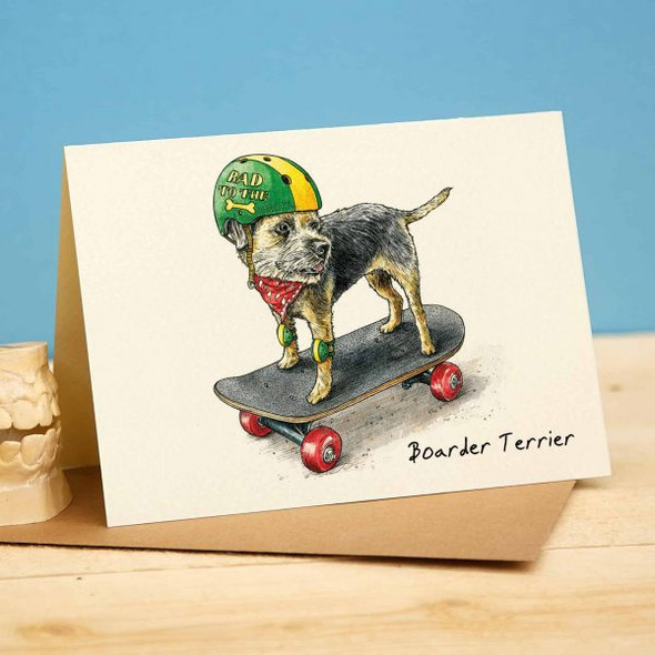 Boarder Terrier