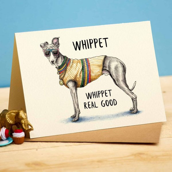 Whippet