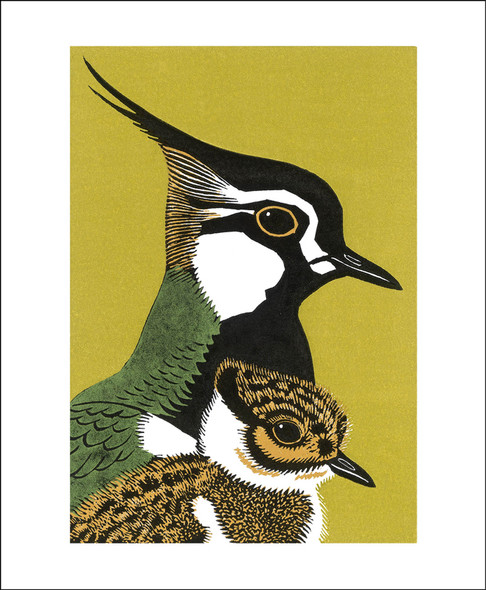 Robert Gillmor - Pewit And Son