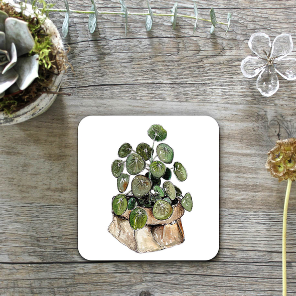 Coasters Set 4 - Pilea Peperomioides