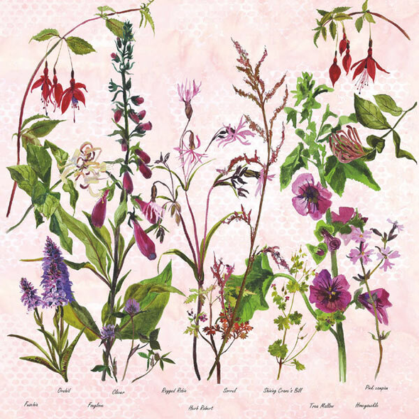Annabel Langrish - Purple and Fuchsias